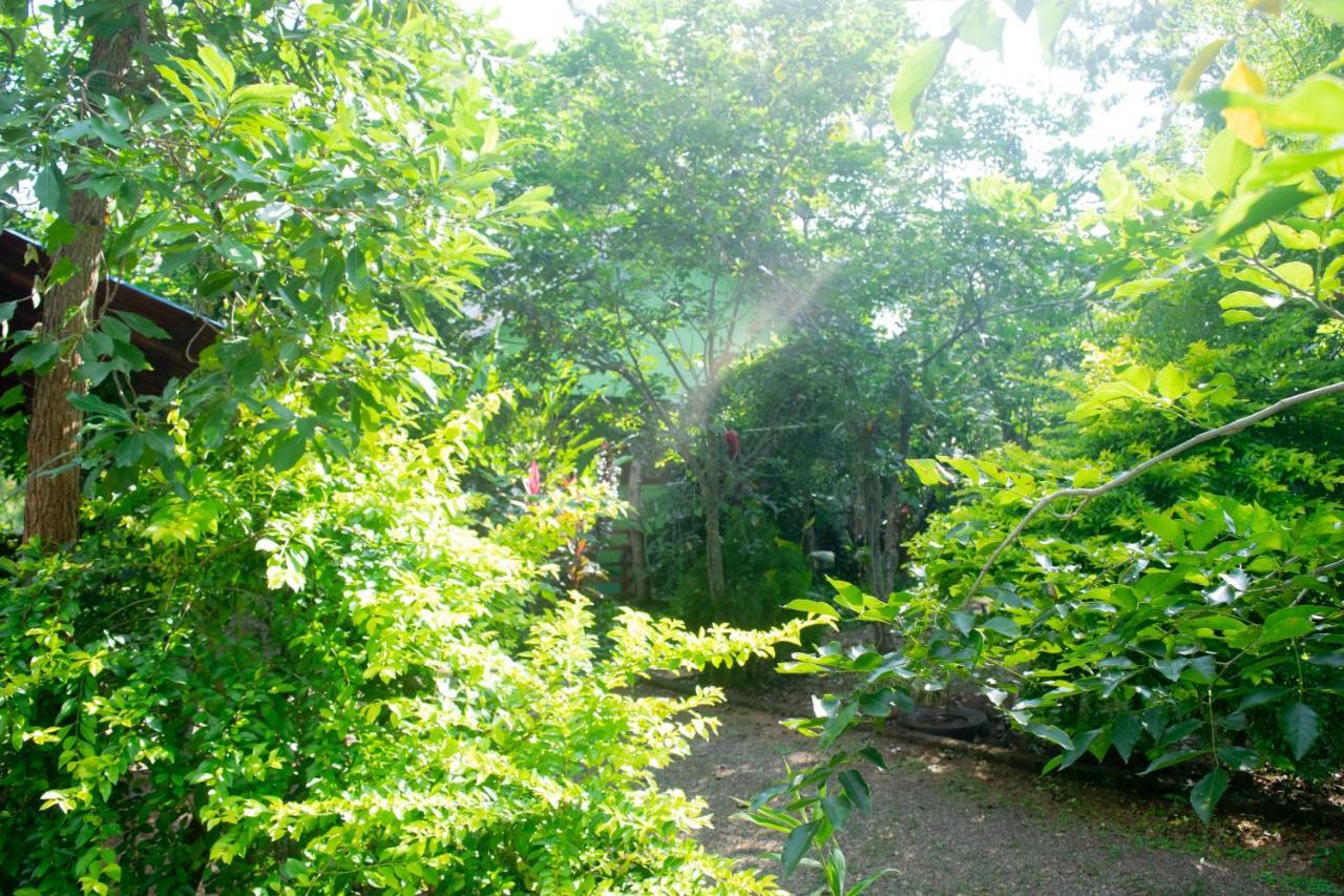 Forest Villa Nature Resort 阿努拉德普勒 外观 照片