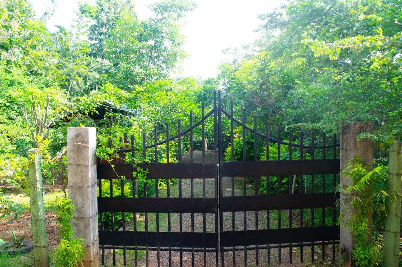 Forest Villa Nature Resort 阿努拉德普勒 外观 照片