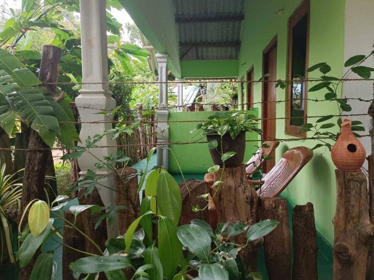 Forest Villa Nature Resort 阿努拉德普勒 外观 照片