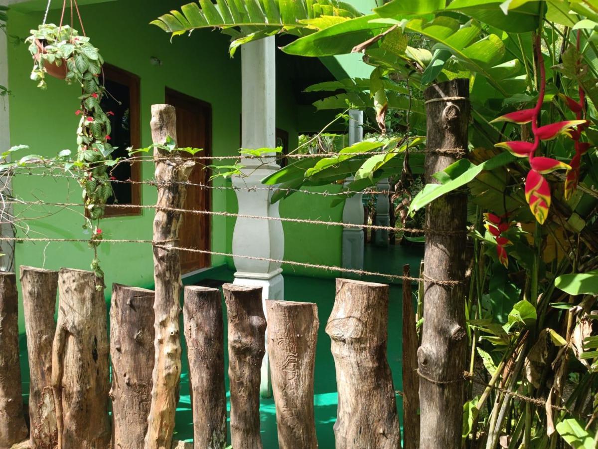 Forest Villa Nature Resort 阿努拉德普勒 外观 照片