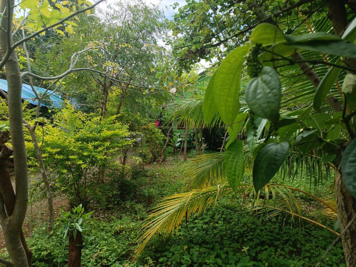 Forest Villa Nature Resort 阿努拉德普勒 外观 照片