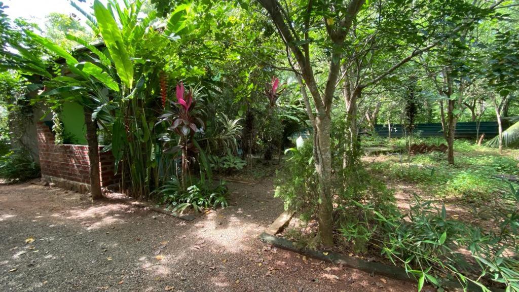 Forest Villa Nature Resort 阿努拉德普勒 外观 照片