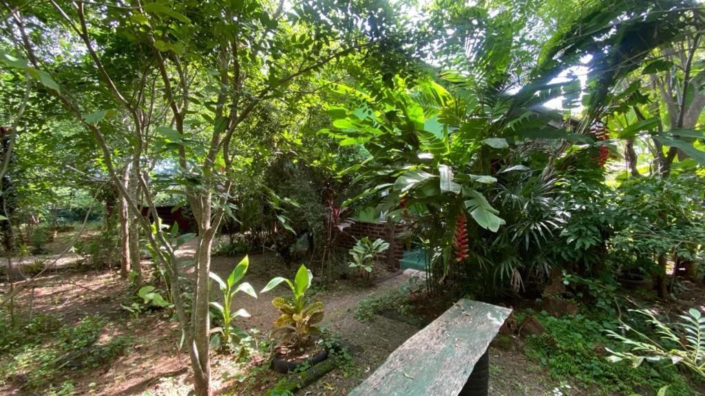 Forest Villa Nature Resort 阿努拉德普勒 外观 照片
