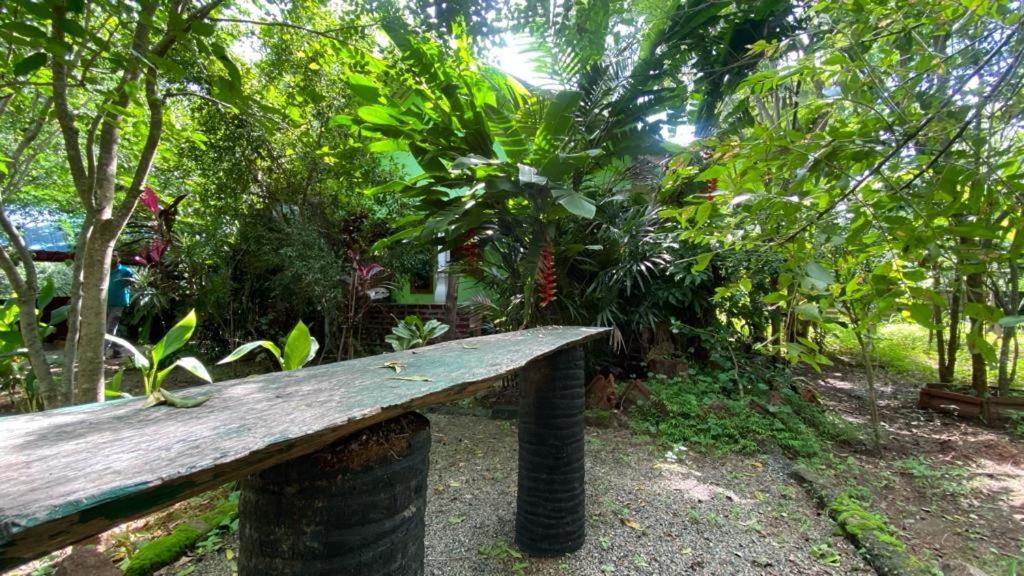 Forest Villa Nature Resort 阿努拉德普勒 外观 照片