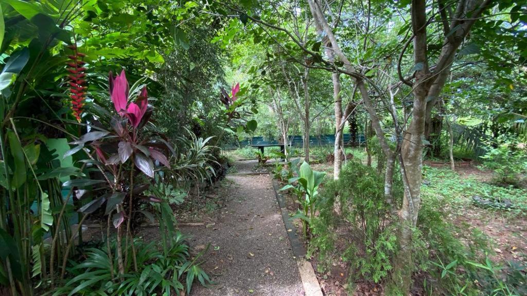 Forest Villa Nature Resort 阿努拉德普勒 外观 照片