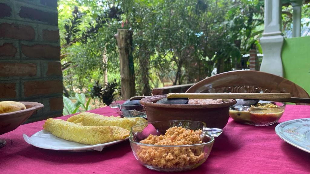 Forest Villa Nature Resort 阿努拉德普勒 外观 照片