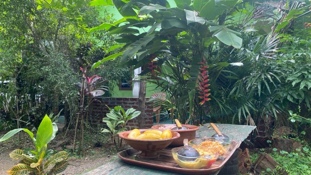 Forest Villa Nature Resort 阿努拉德普勒 外观 照片