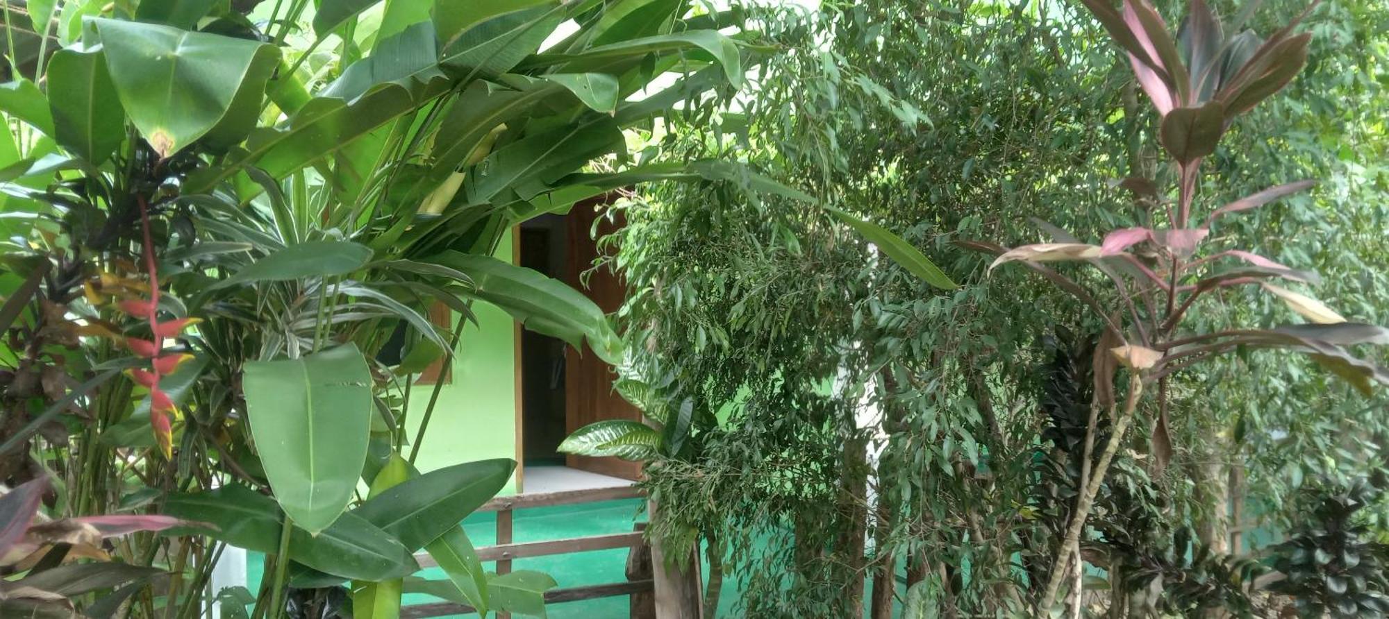 Forest Villa Nature Resort 阿努拉德普勒 外观 照片