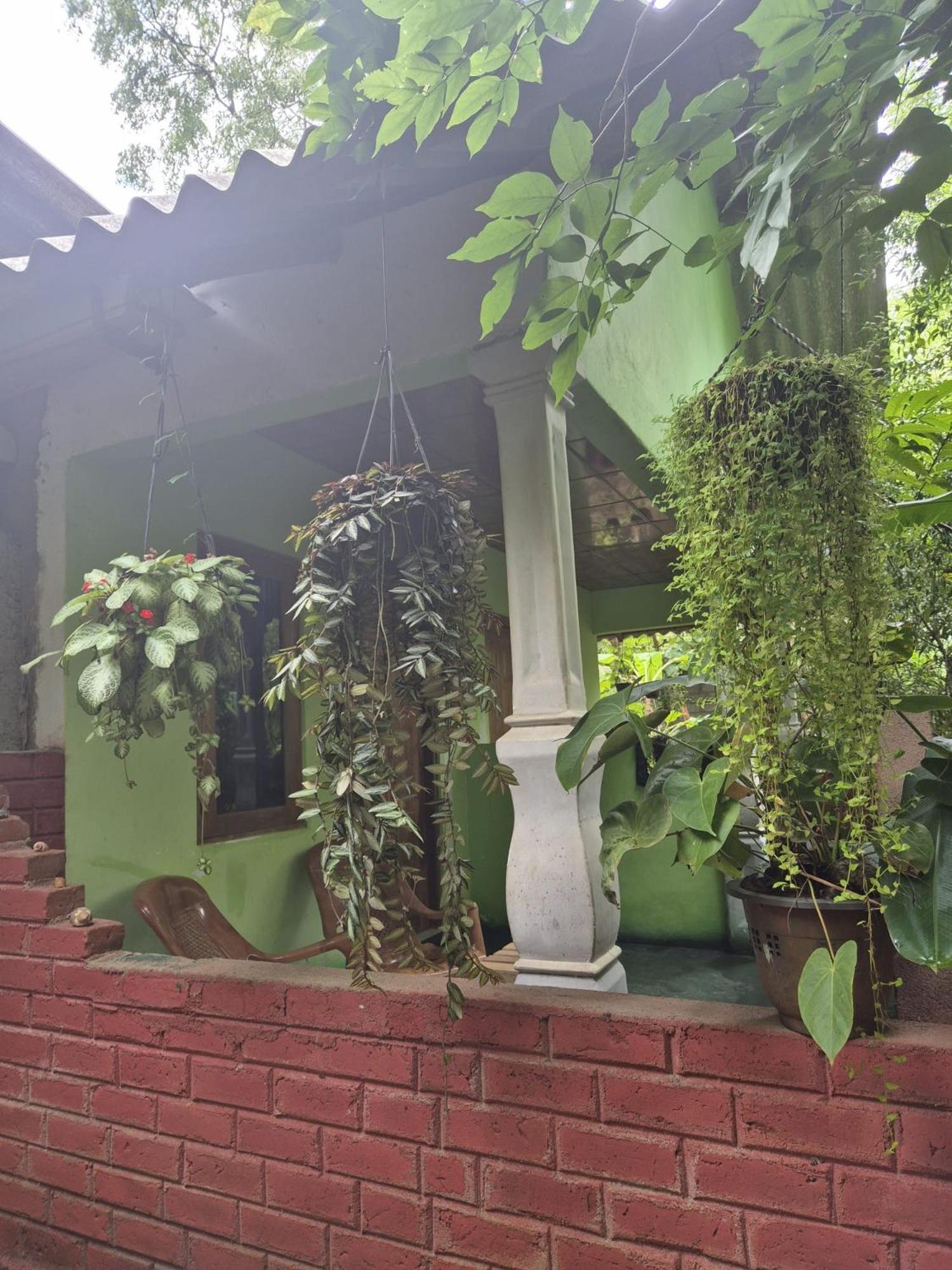 Forest Villa Nature Resort 阿努拉德普勒 外观 照片
