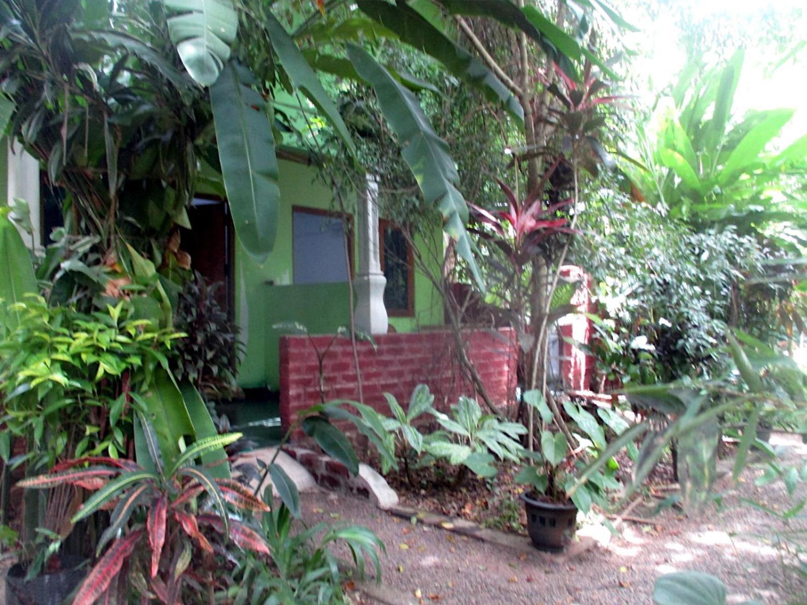 Forest Villa Nature Resort 阿努拉德普勒 外观 照片